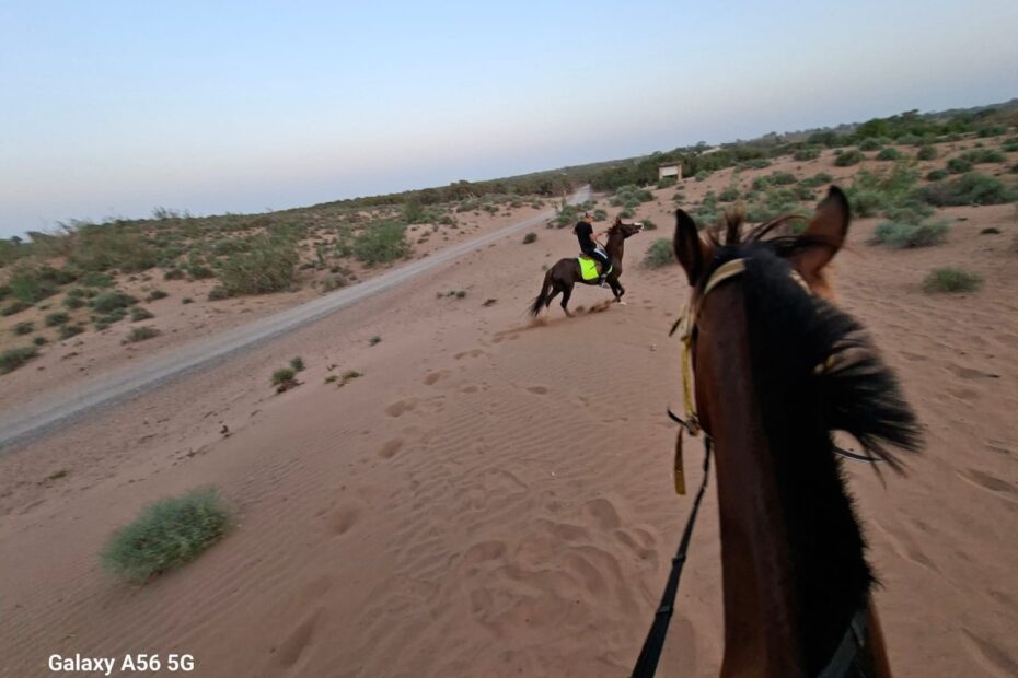 Guide professionnel menant une excursion d'équitation à Agadir