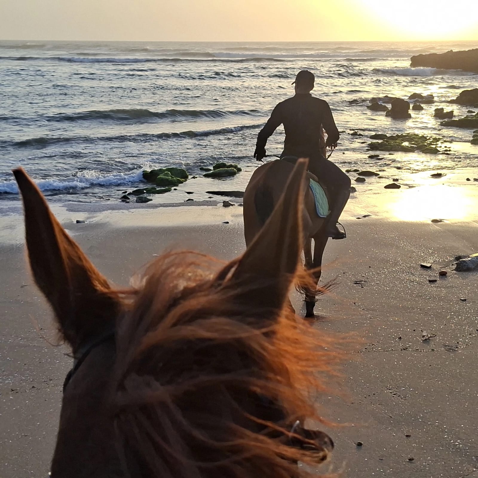Guide professionnel menant une excursion d'équitation à Agadir
