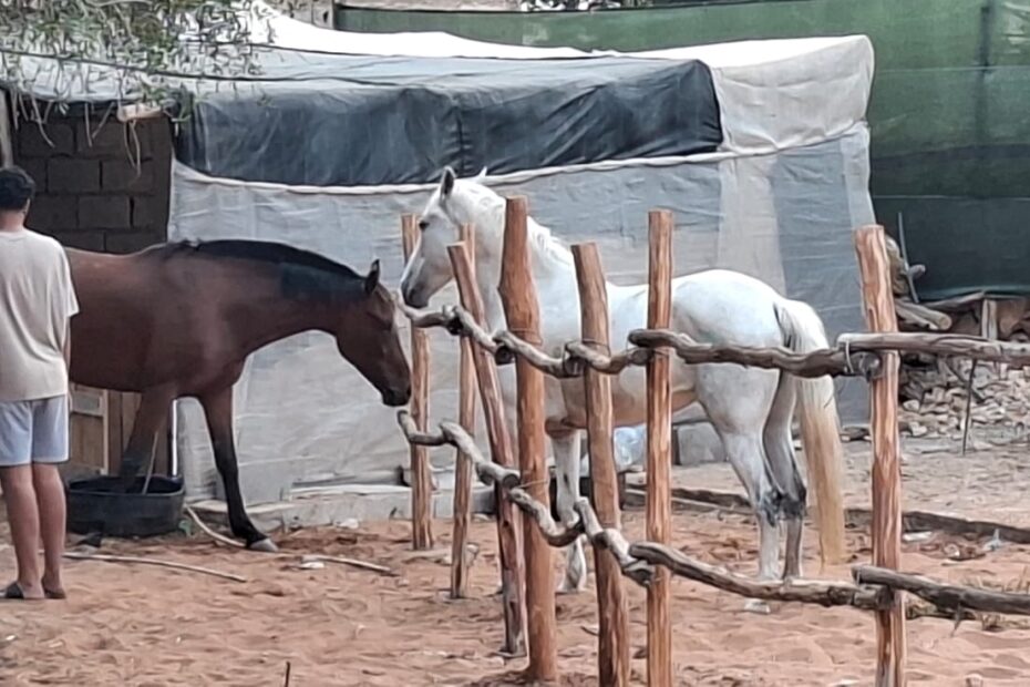 Guide professionnel menant une excursion d'équitation à Agadir