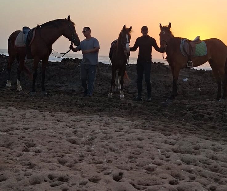 Guide professionnel menant une excursion d'équitation à Agadir