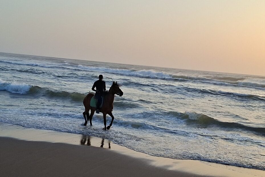 Guide professionnel menant une excursion d'équitation à Agadir