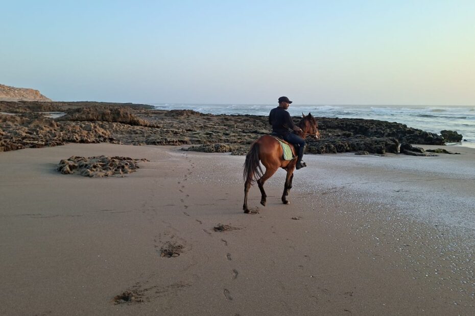 Guide professionnel menant une excursion d'équitation à Agadir
