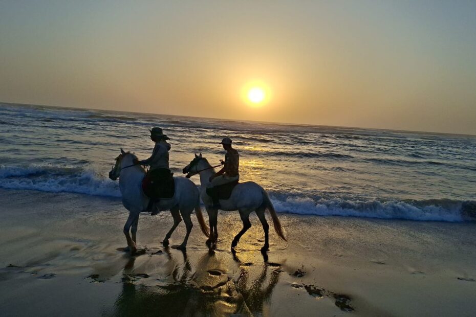 Guide professionnel menant une excursion d'équitation à Agadir