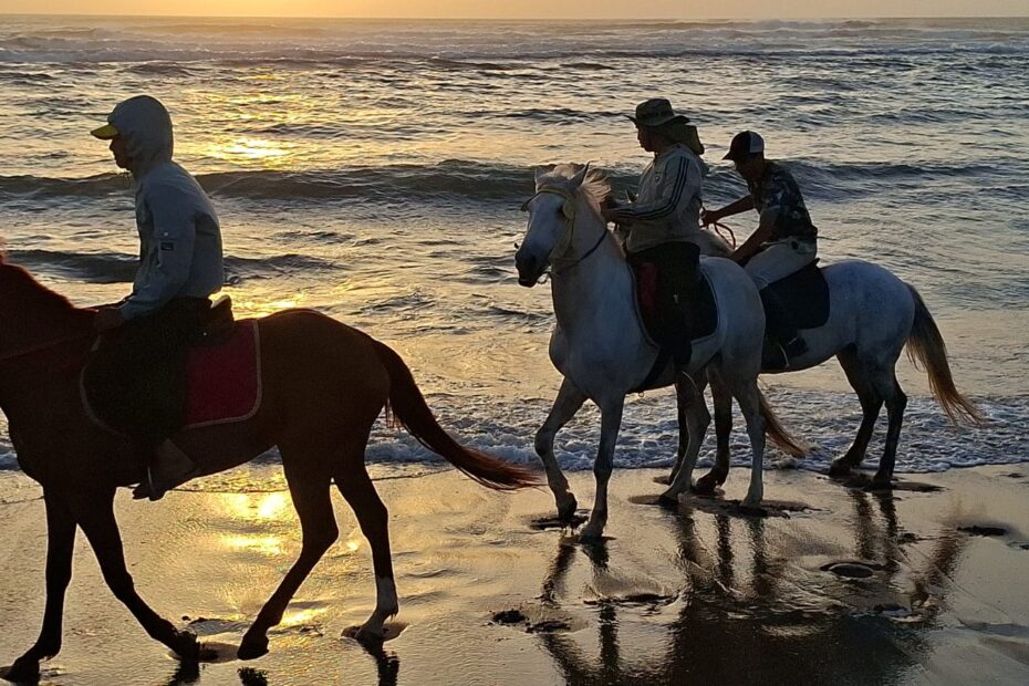Guide professionnel menant une excursion d'équitation à Agadir