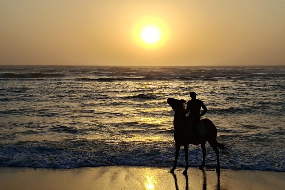Guide professionnel menant une excursion d'équitation à Agadir