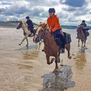 3 Hour Premium Horse Riding Experience