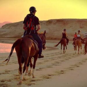 1 Hour Beach Horse Ride