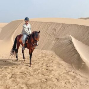 Horse Carriage Tour Bord de mer